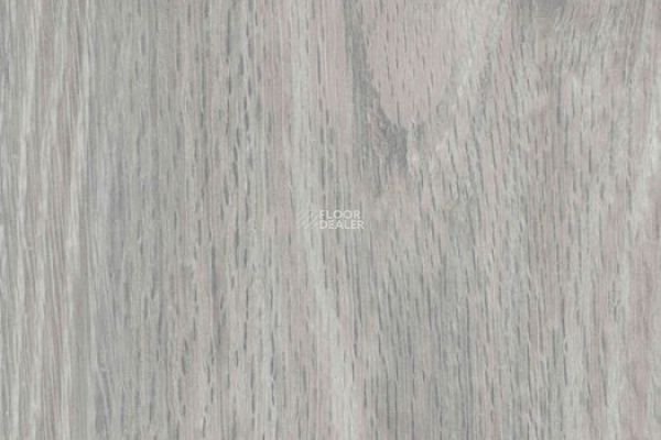 Виниловая плитка ПВХ Vertigo Trend / Wood 3104 WHITE LOFT WOOD 184.2 мм X 1219.2 мм фото 1 | FLOORDEALER